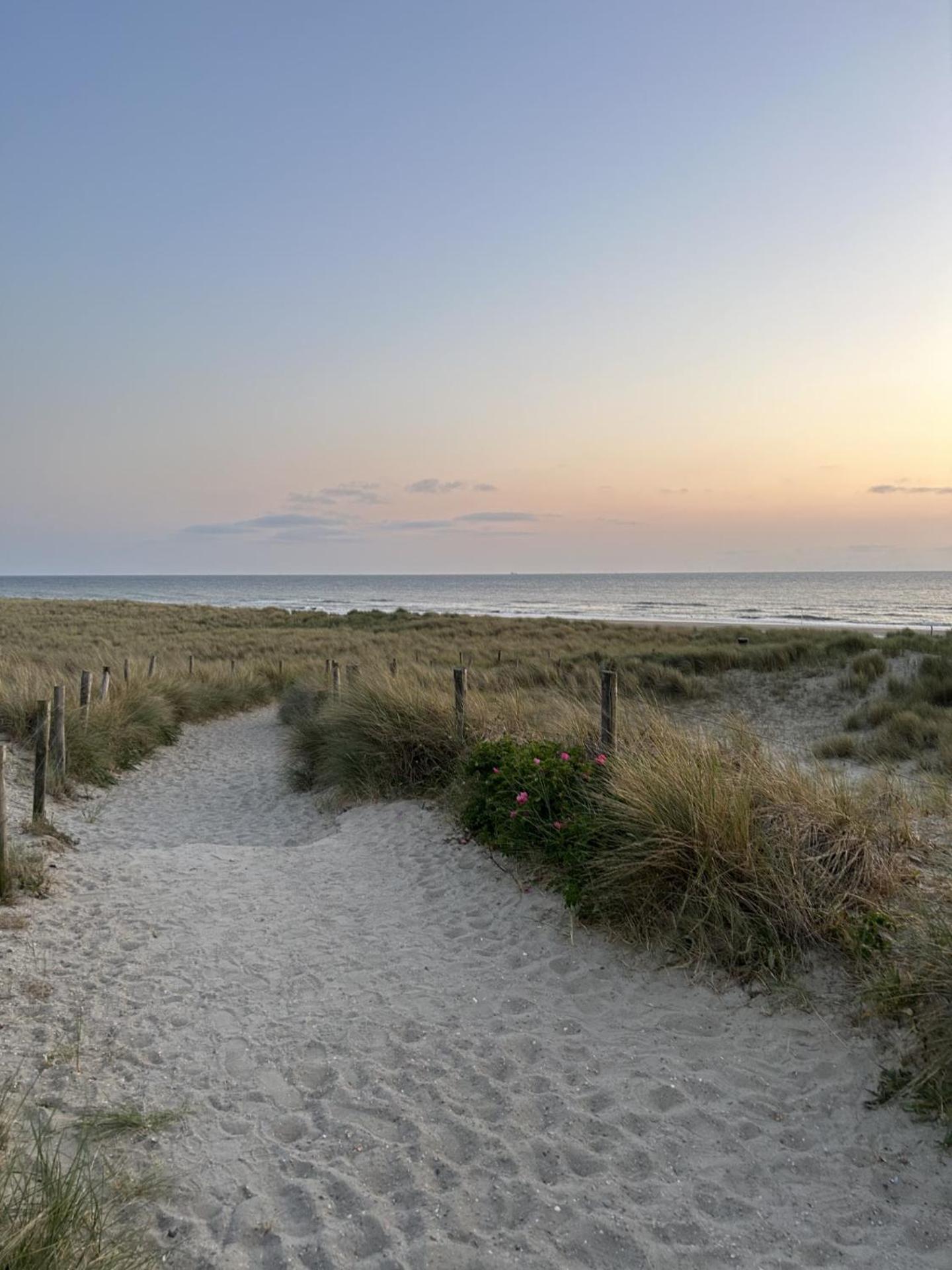 Breezy Beach Chalet Petten Exteriér fotografie