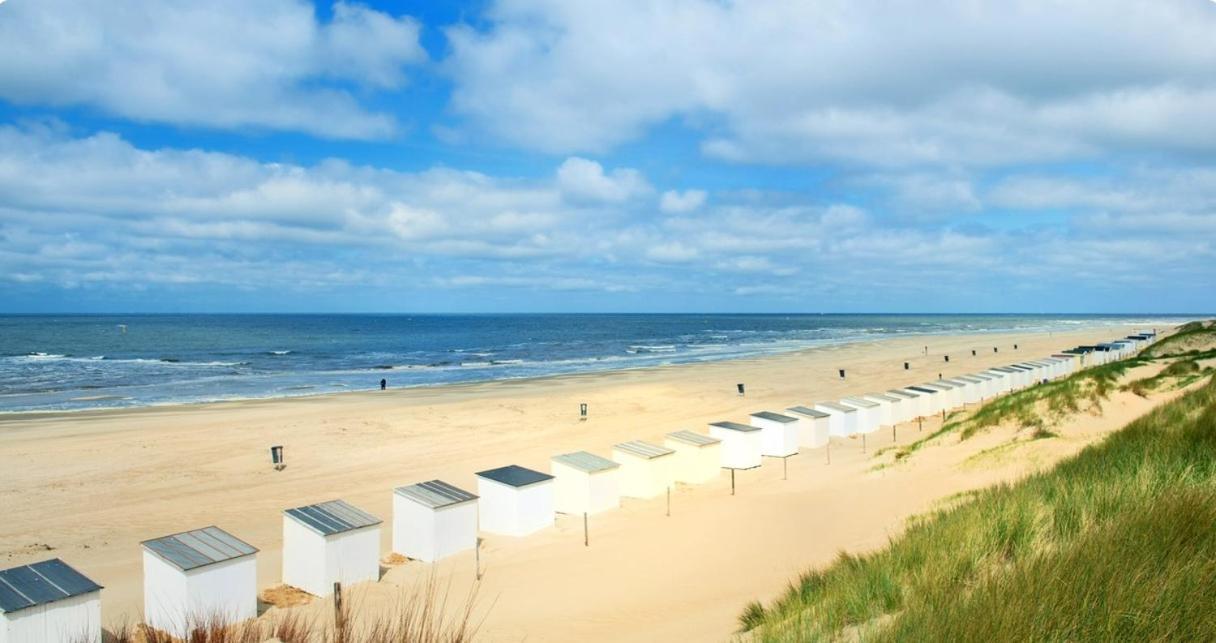 Breezy Beach Chalet Petten Exteriér fotografie